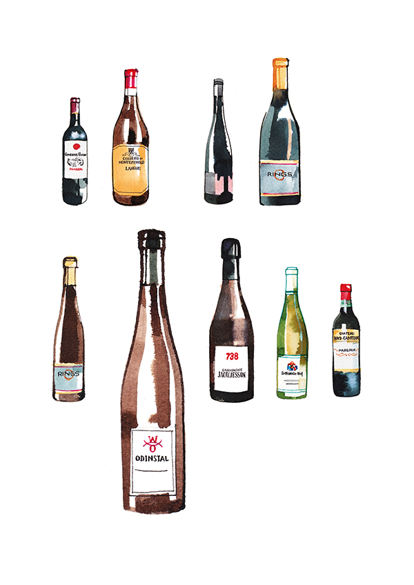 illustration of different kind of wine bottles from Europe, watercolor