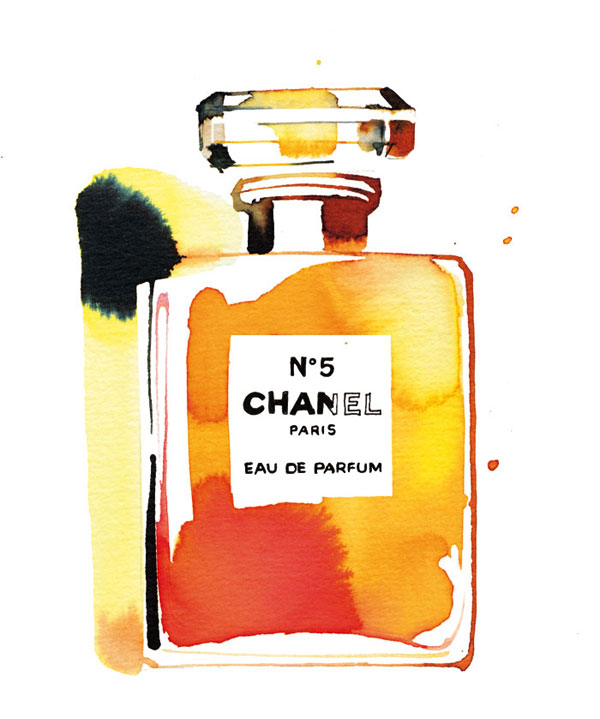 Chanel no.5, watercolor illustration