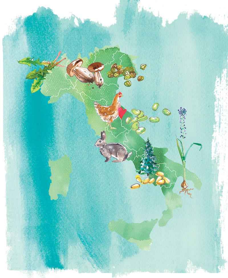 MIGUSTO magazine, 2021, "Wild Italy" - illustrated map about unique and wild Italian food specialities, region by region