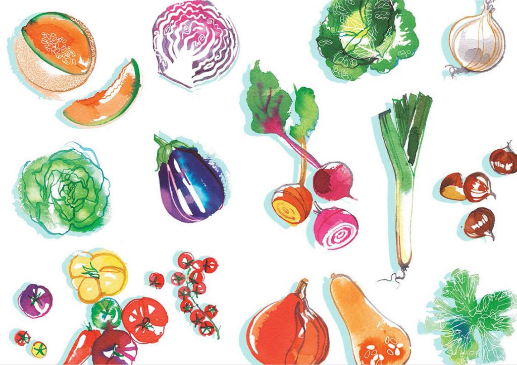 Madame Figaro CUISINE, 2019, Summer and Autumn vegetables, watercolor food illustration