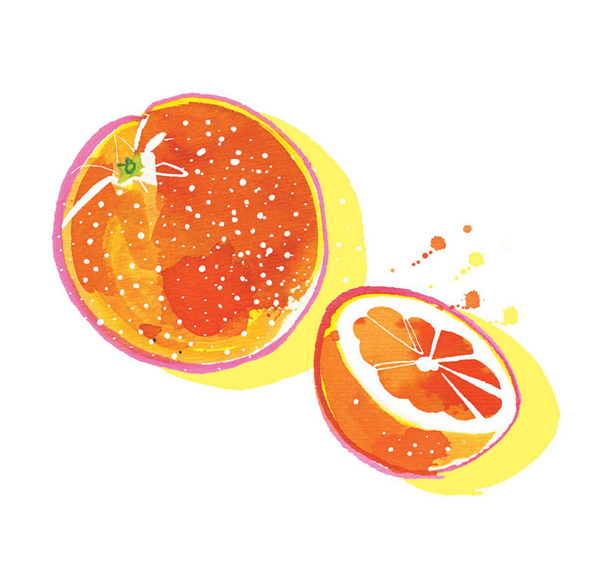 Food illustration of juicy oranges - Madame Figaro Cuisine 2022