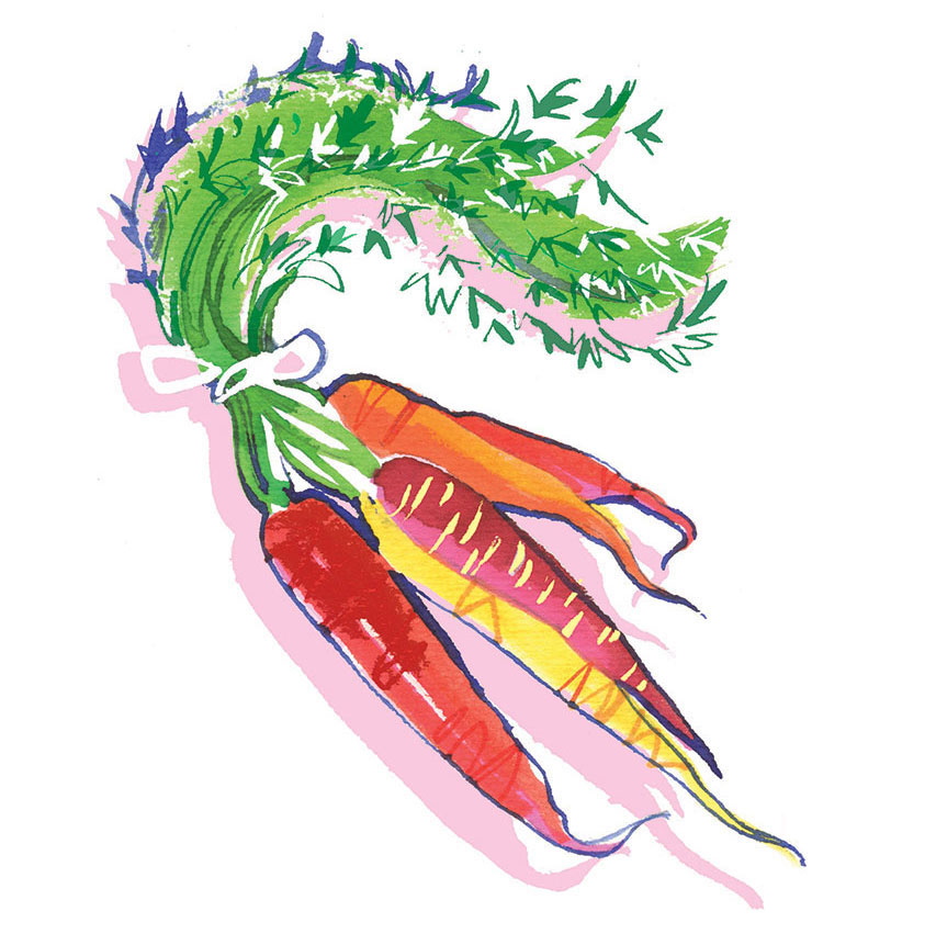 Food illustration of multicolor carrots - Madame Figaro Cuisine 2022